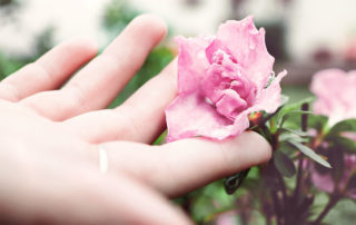 "She Let Go" A Poem by Rev. Safire Rose.jpg